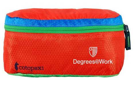 T4G Cotopaxi Del Dia Hip Pack - Surprise