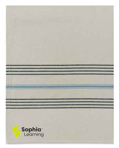 T4G Slowtide® Kitchen Towel - Orion-Bone