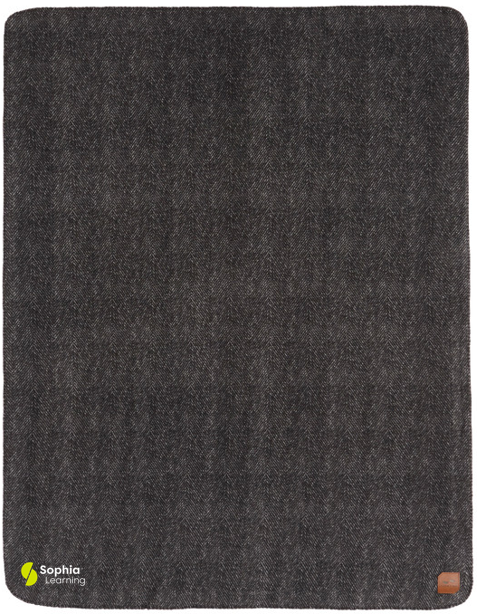 T4G Slowtide® Fleece Blanket - LEWIS