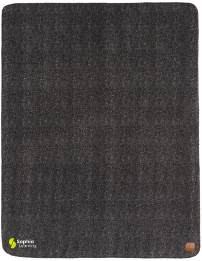 T4G Slowtide® Fleece Blanket - LEWIS