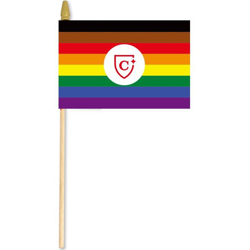 CAPELLA LGBTQ+ Pride Flag 12