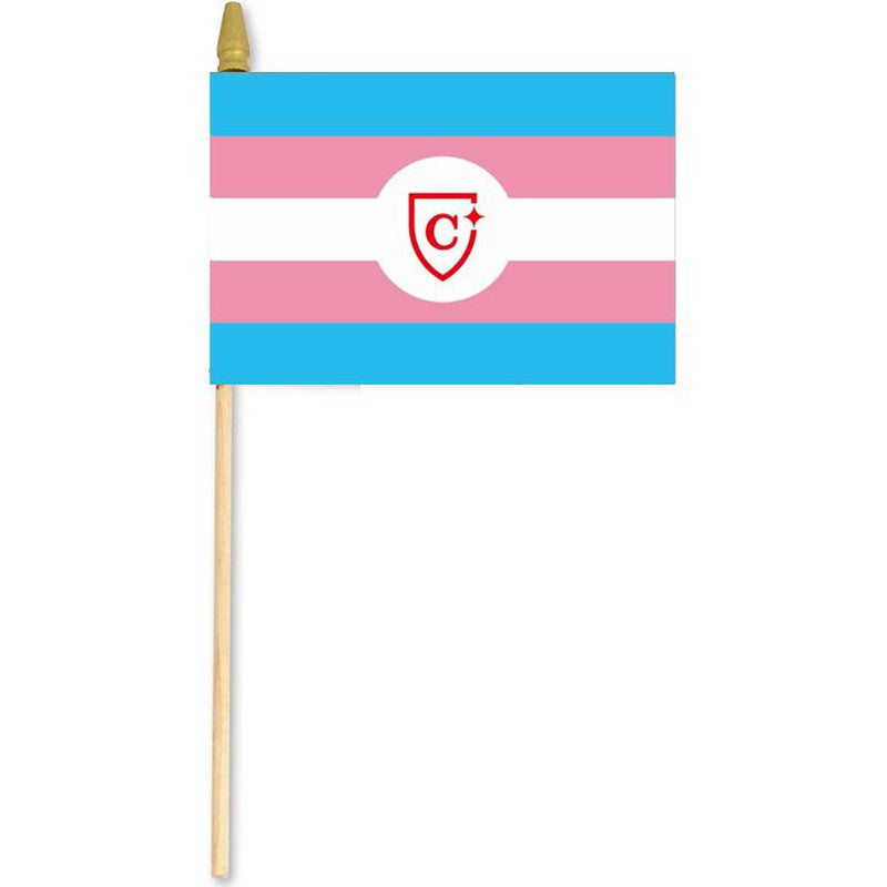CAPELLA Transgender Pride Flag  12